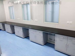 霍州市 全鋼洗滌臺化妝品實(shí)驗(yàn)操作臺 耐腐蝕實(shí)驗(yàn)臺 實(shí)驗(yàn)室家具